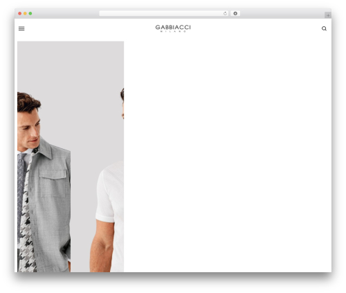 Styler elementor addons WordPress plugin - gabbiacci.com