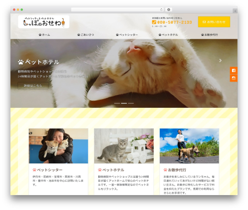 Lightning skin fort WordPress plugin - shipponoosewa.com