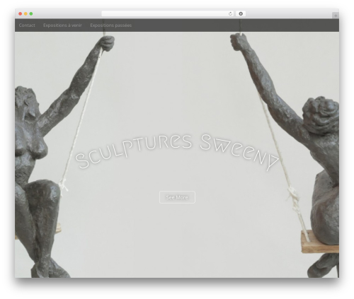 Animated Live Wall – Photo Animation, Feed Gallery for instagram And Flickr (animated-live-wall) free WordPress plugin - sculptures-sweeny.fr
