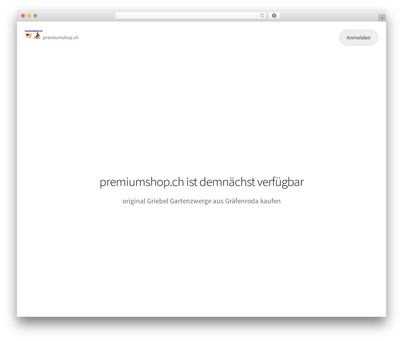 Storefront theme WordPress - premiumshop.ch Storefront theme WordPress - premiumshop.ch