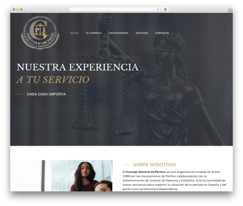 Raven WordPress plugin - consejoperitos.com