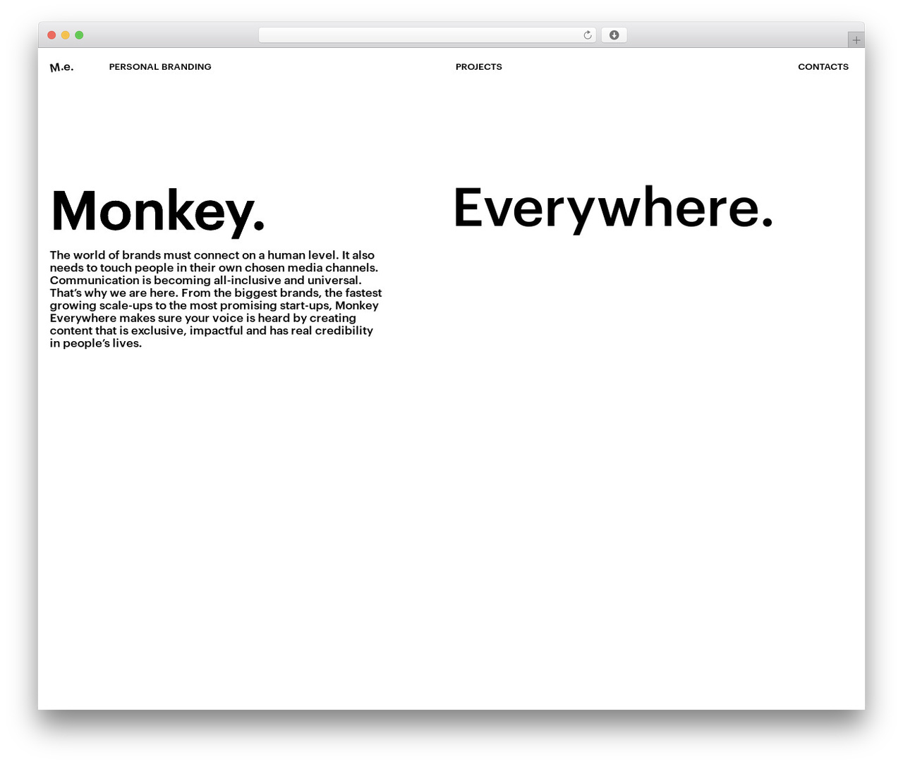 WordPress theme monkey - monkeyeverywhere.com WordPress theme monkey - monkeyeverywhere.com