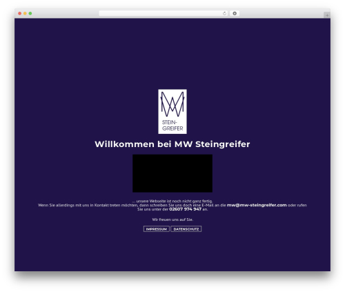 Brainbox WordPress theme - mw-steingreifer.com