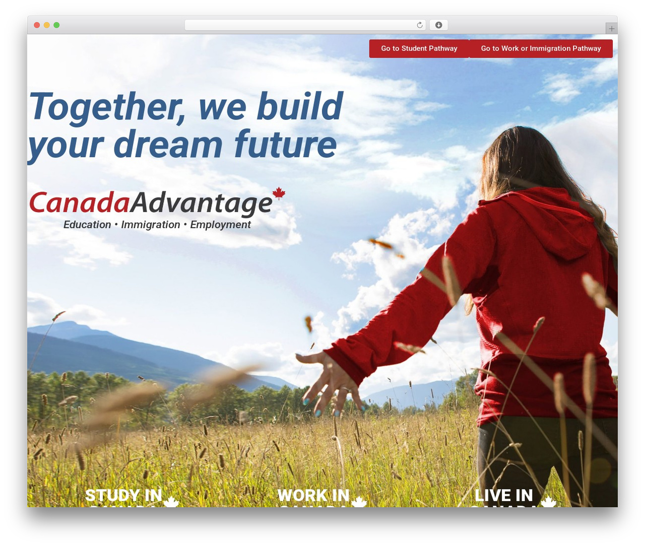 Hello Elementor WordPress theme - canada-advantage.com