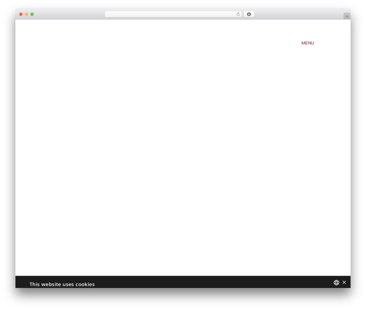 Moroglu Theme theme WordPress - www.morogluarseven.com