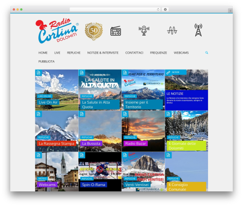 Puzzles WordPress theme - radiocortina.it