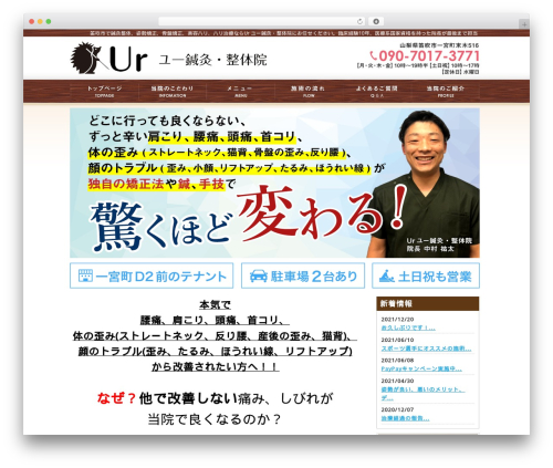Theme WordPress アリガトfor治療院 - ur-shinkyuseitai.com
