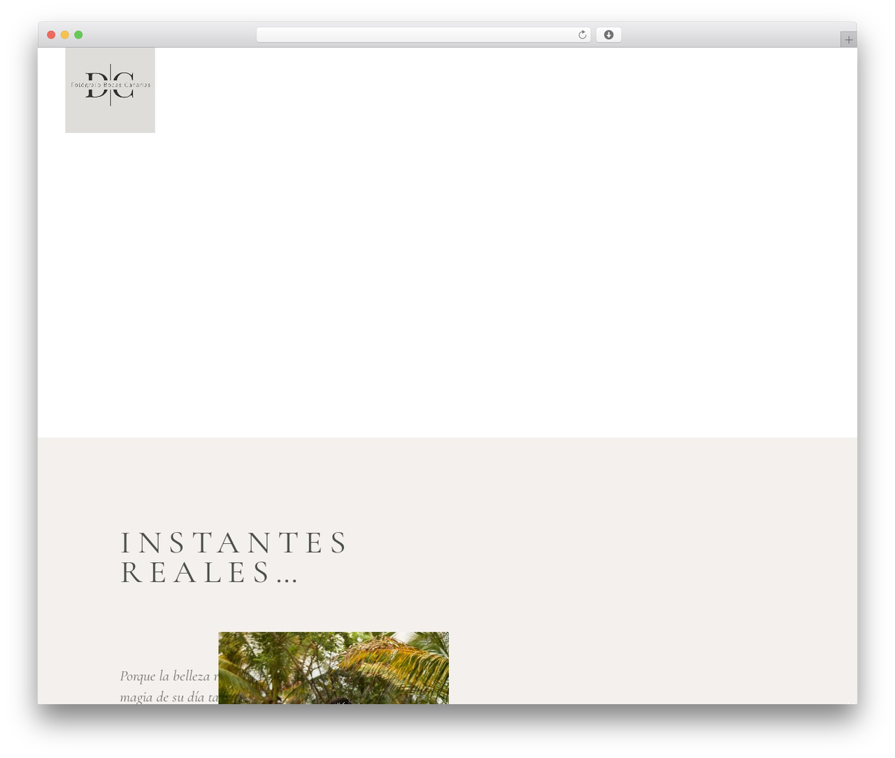 Theme WordPress Solene - dantececcon.com