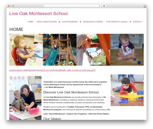 Easy Facebook Feed (easy-facebook-feed) free WordPress plugin - liveoakmontessori.com