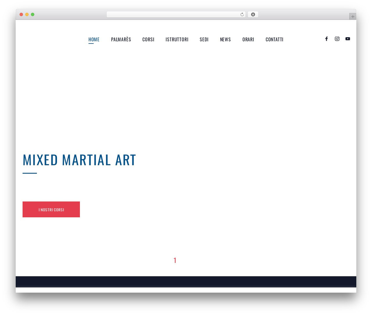 Youko theme WordPress - mixedmartialarts.it