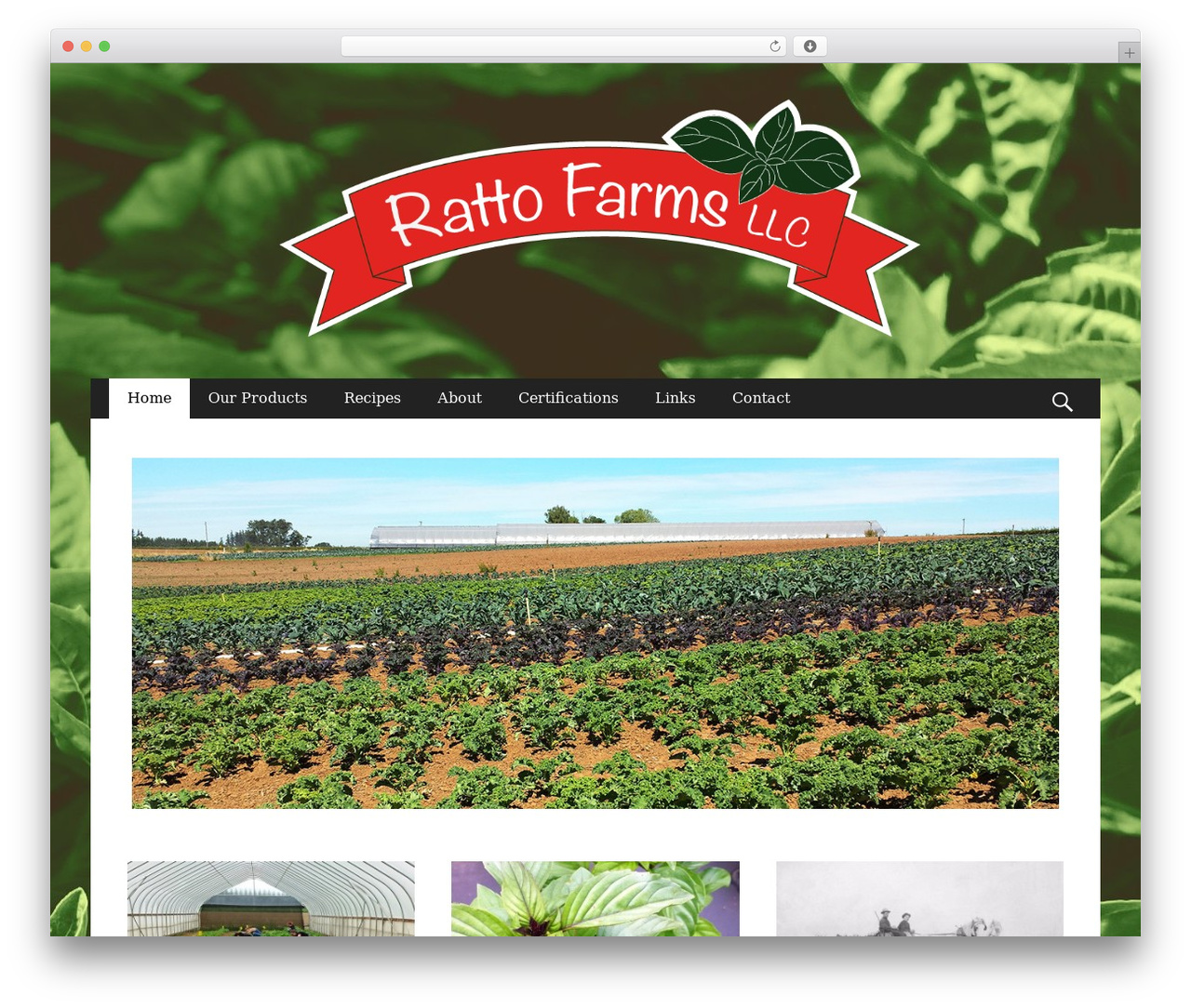 Catch Responsive WordPress theme - rattofarms.com Catch Responsive WordPress theme - rattofarms.com