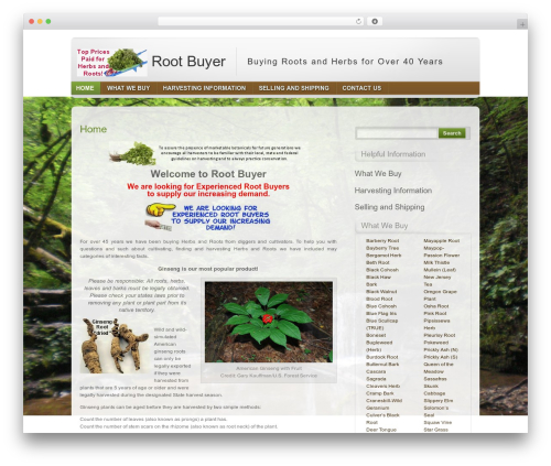 NatureFox WordPress website theme - rootbuyer.com