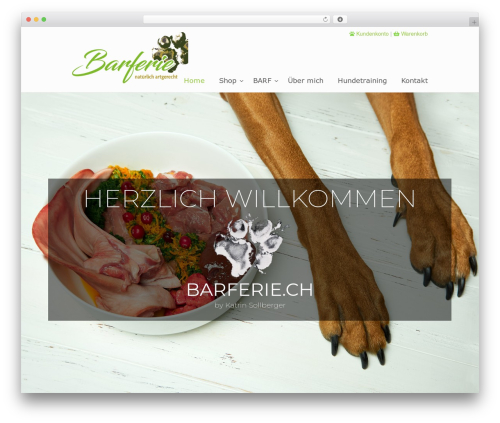 U design core WordPress plugin - barferie.ch