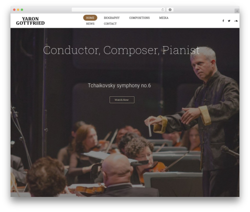 Hugo WordPress theme - yarongottfried.com