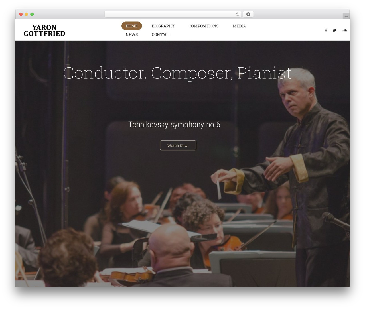 Hugo WordPress theme - yarongottfried.com