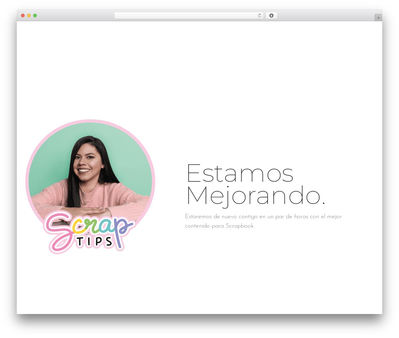 Shoptimizer WordPress theme - scraptips.com Shoptimizer WordPress theme - scraptips.com