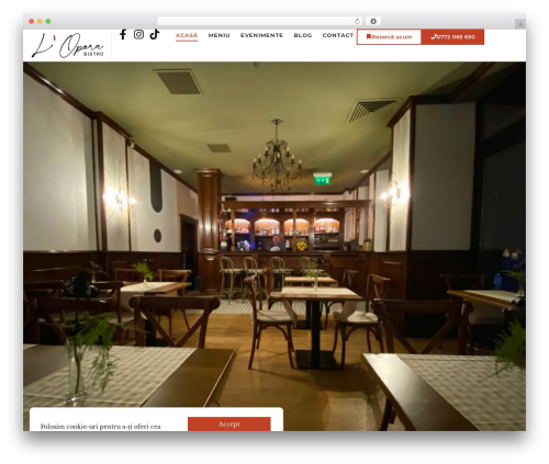 Theme WordPress Hello Elementor - operabistro.ro