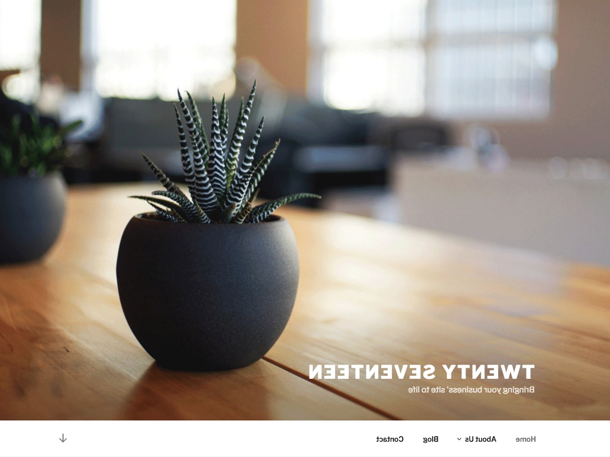 WordPress website theme Custom Theme