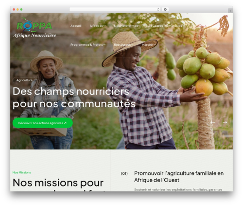 Gallery showcase pro WordPress plugin - roppa-afrique.org