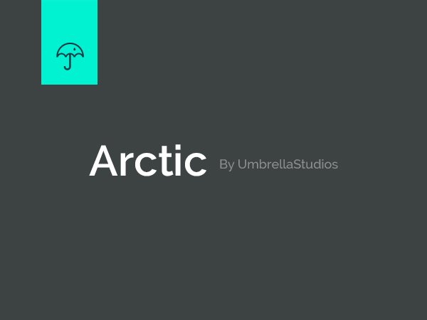 Arctic best portfolio WordPress theme