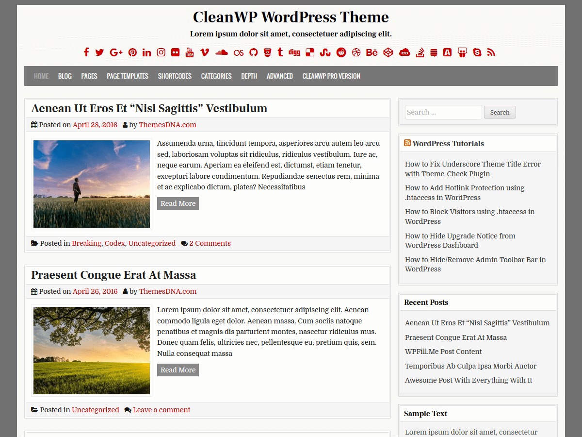CleanWP theme free download