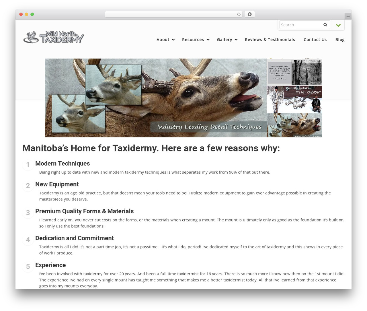 DynamiX theme WordPress - wildnorthtaxidermy.com DynamiX theme WordPress - wildnorthtaxidermy.com