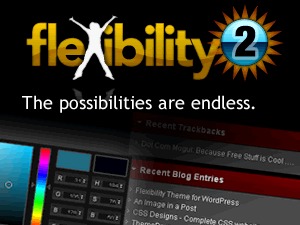 Flexibility2 top WordPress theme