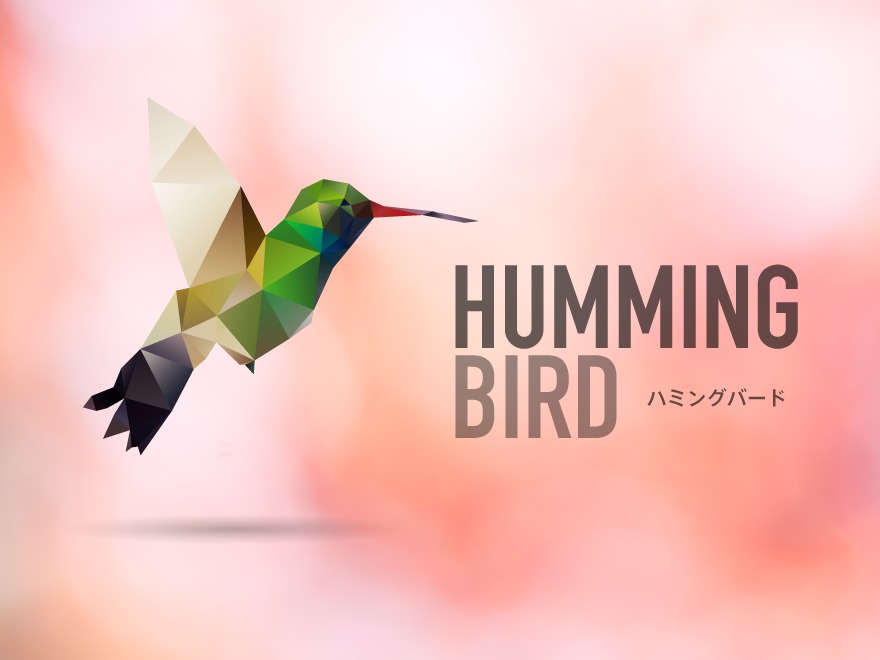 hummingbird_custom WordPress website template