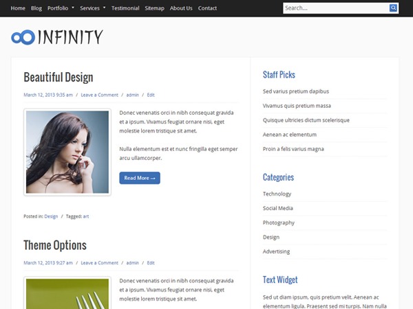 Infinity theme WordPress portfolio