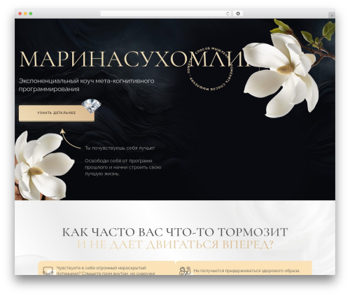 MD premium WordPress theme - mary.plus