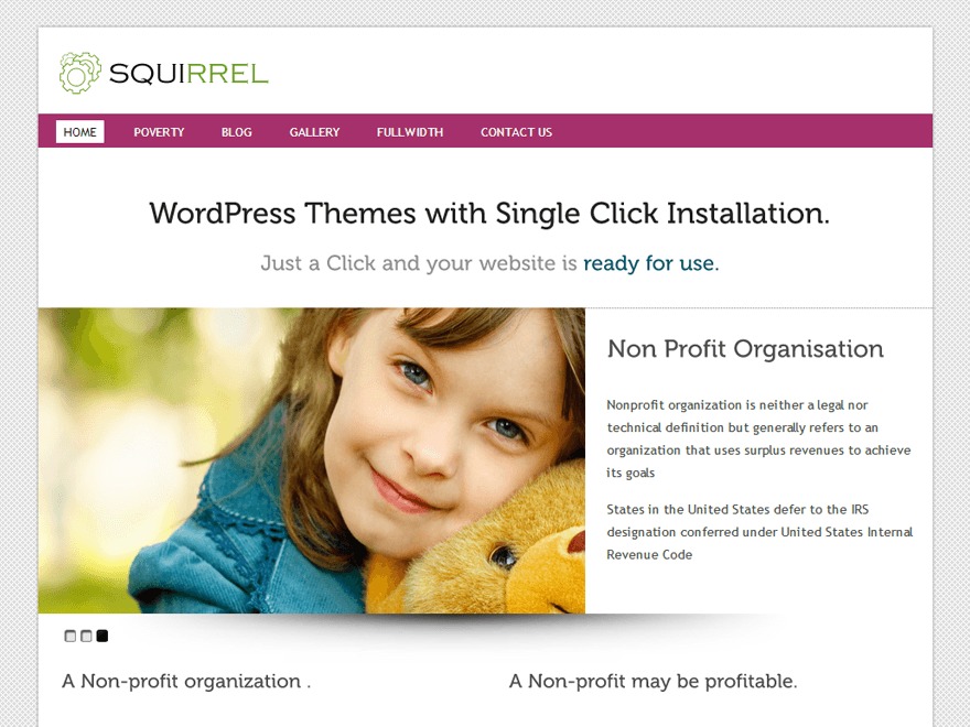 Squirrel Pro Responsive Theme theme WordPress Squirrel Pro Responsive Theme theme WordPress