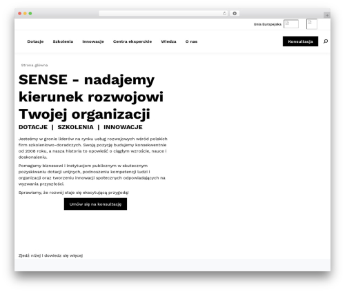 AnyWhere Elementor (anywhere-elementor) free WordPress plugin - senseconsulting.pl