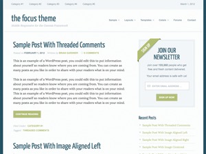 Theme WordPress Focus Child Theme
