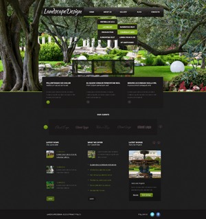 theme1598 best WordPress theme theme1598 best WordPress theme