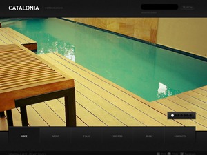 theme18318 best WordPress theme