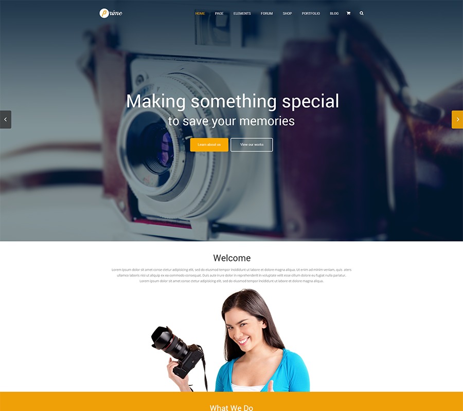 theme54800 WordPress theme