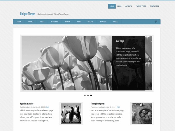 Unique WordPress news theme