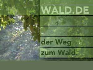 Wald WordPress theme