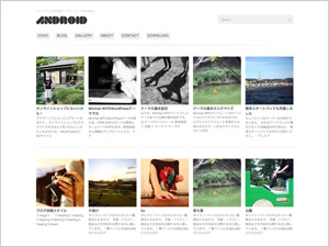WordPress theme Android