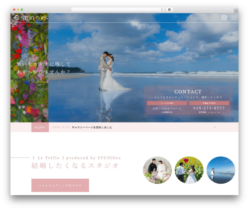 WordPress theme 【090a】リラクゼーション - sunaoshi.com