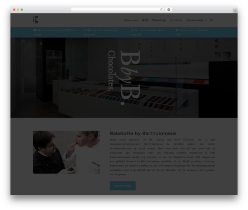 WordPress theme Divi - bbyb.be