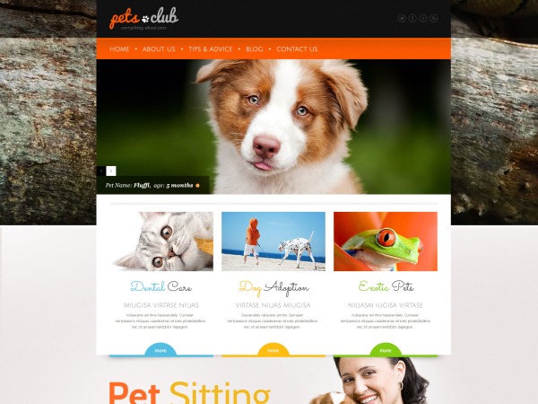 WordPress theme theme44159
