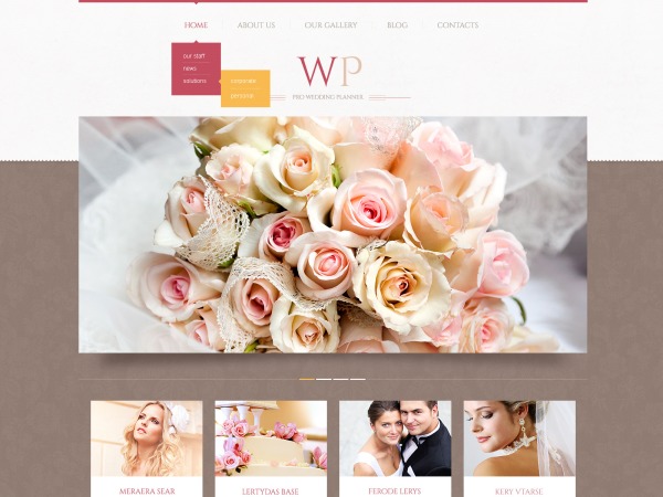 WordPress theme theme45883 WordPress theme theme45883