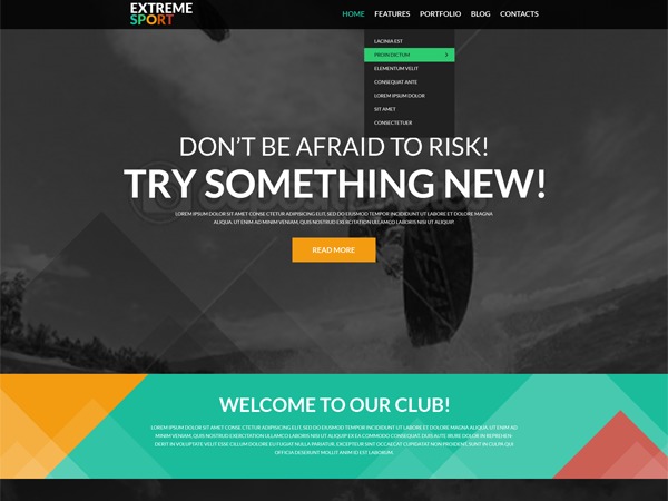 WordPress theme theme51105