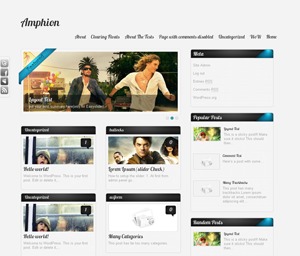 Amphion Lite WordPress website theme by Towfiq I.