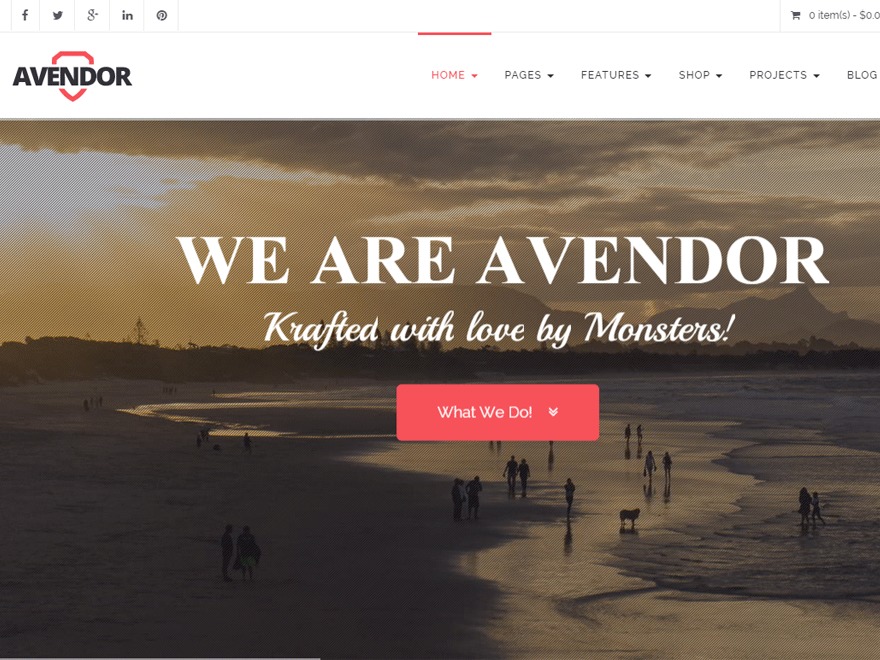 Best WordPress theme Avendor Best WordPress theme Avendor