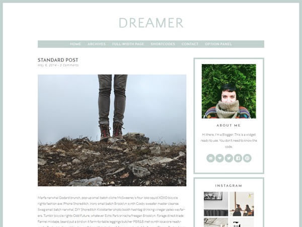 Dreamer WordPress blog template