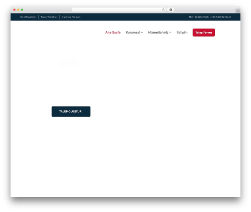 Ecolive WordPress theme - mahirsef.com