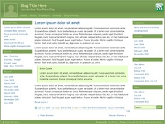 Emerald Stretch best WordPress theme by Nikolaj Masnikov