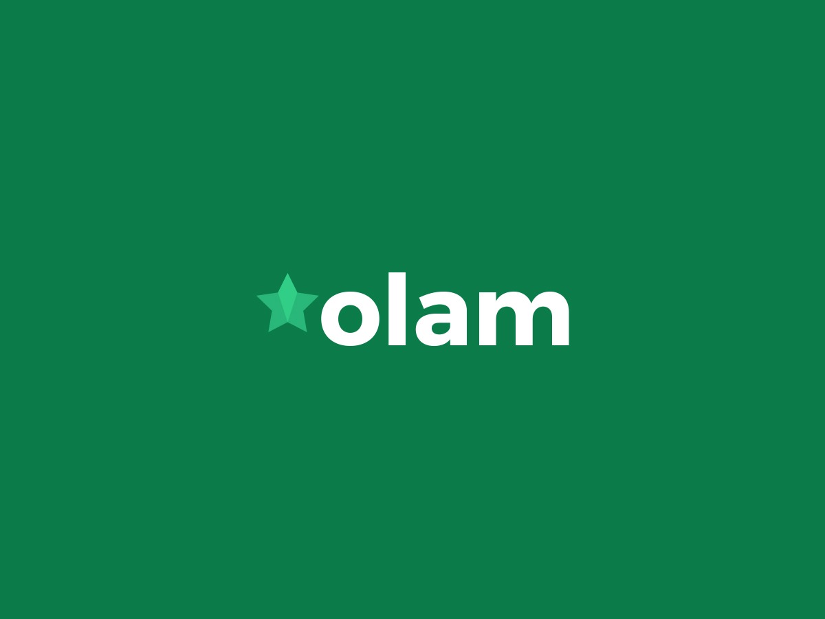 Olam WordPress theme by www.layero.com
